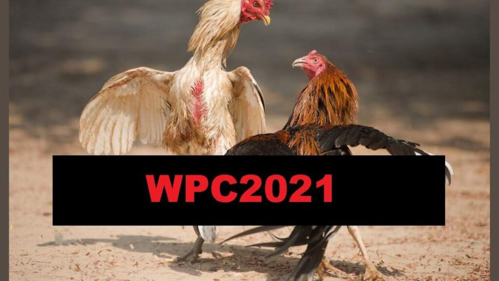 Sabong WPC2021 Login, Registration, LIVE Dashboard Access & More